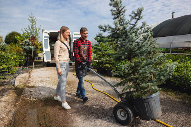 Best Leaf Removal  in Orange, OH